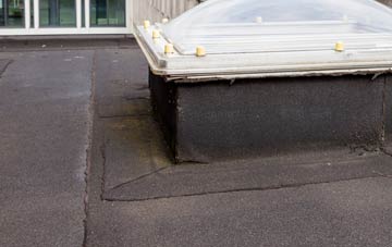 disadvantages of Roade flat roofs